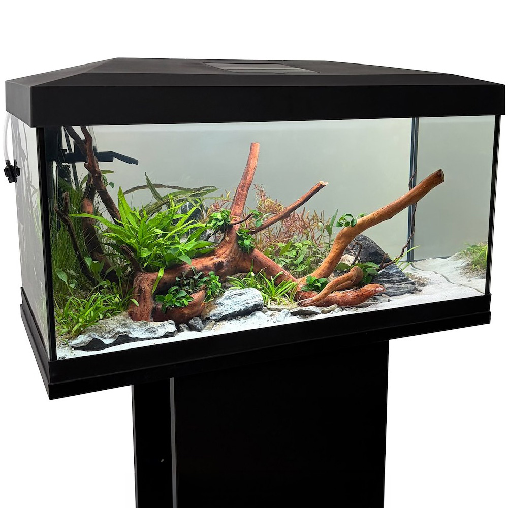 Aqua Play 60 Zestaw Akwarium proste + pokrywa LED D&N